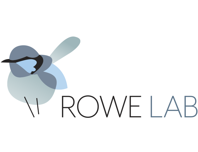 Rowe Lab